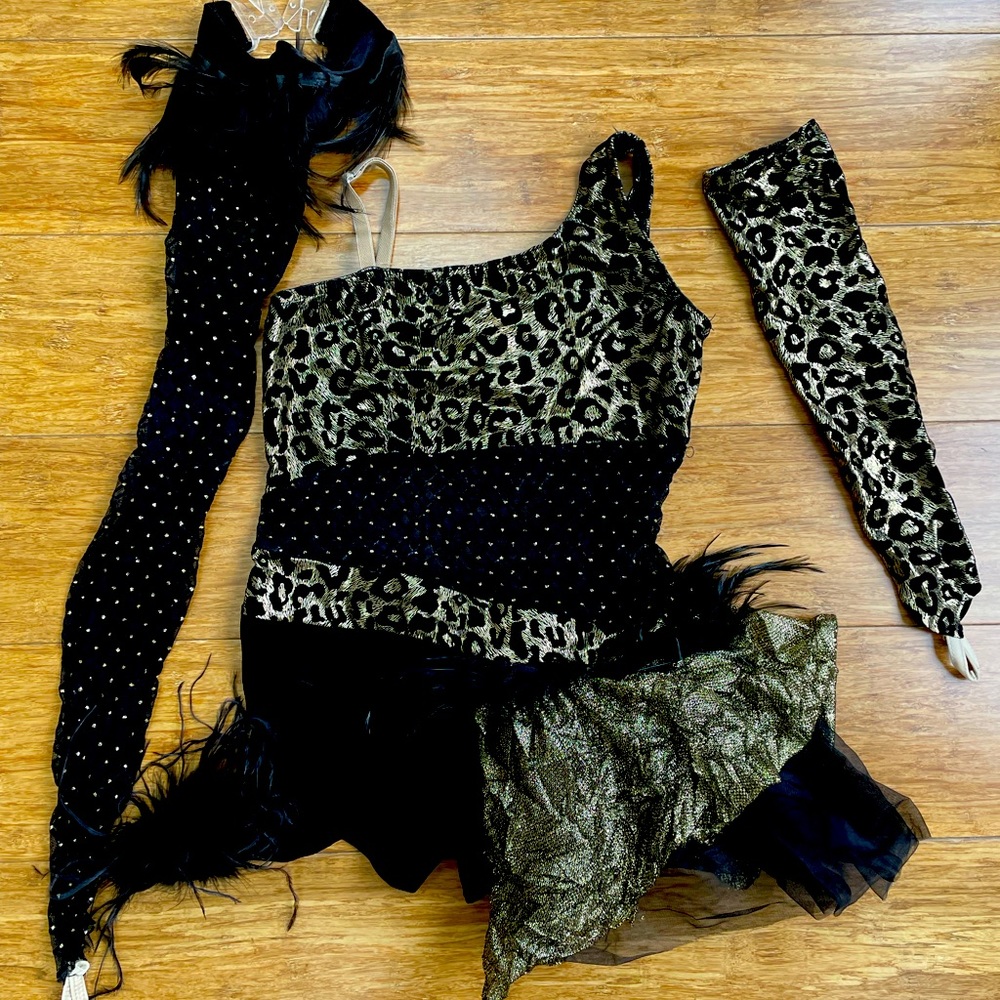 Girls dance costume